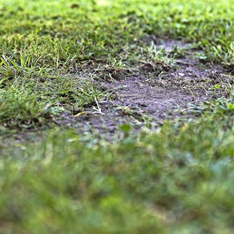 Tarkista kalkkipitoisuus Tarkista kalkkipitoisuus